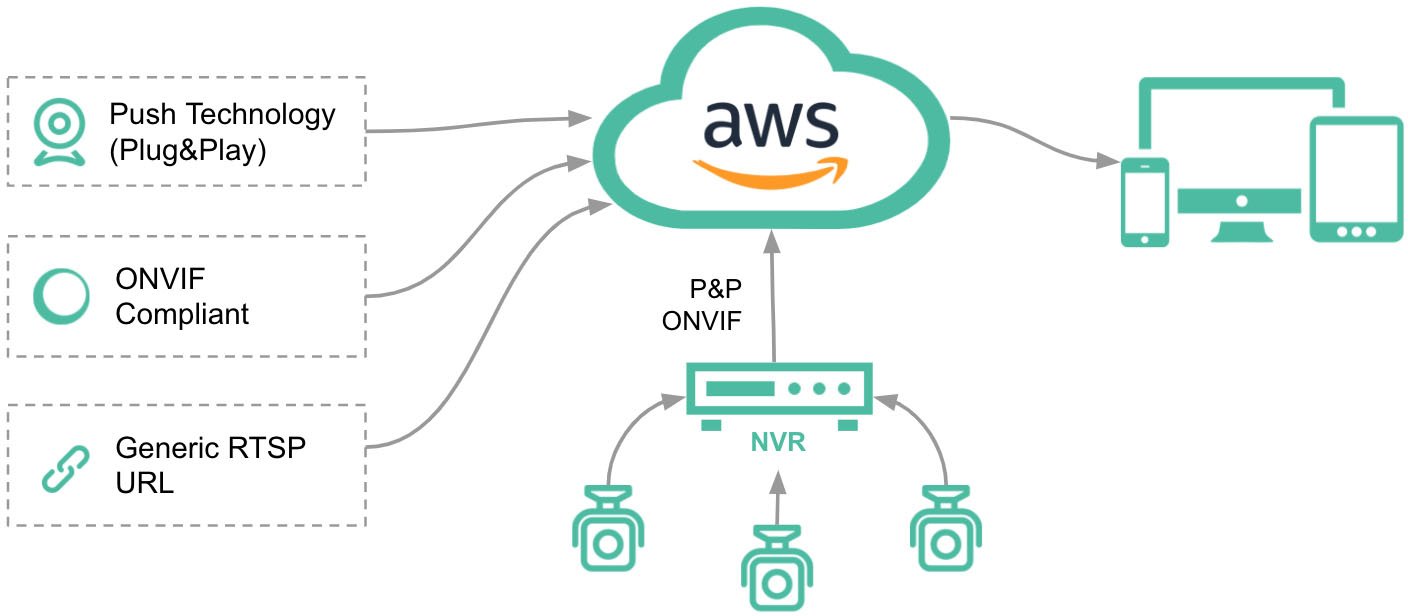 plug in video software how it works diagram